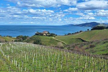 Hiking the Camino de Santiago Along Vineyards from San Sebastian