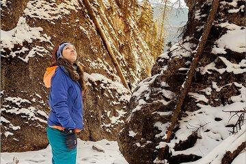 Maligne Valley and Pleckaitis Icewalk 09:30