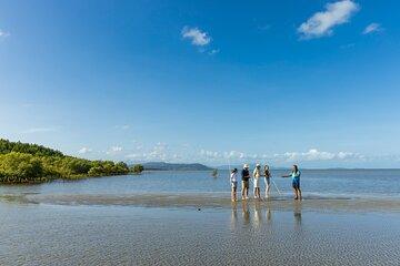 Small Group Daintree Rainforest and Aboriginal Coastal Adventure
