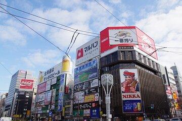 Sapporo Full-Day Tour by Minivan