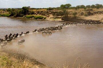 5 Days Safari Camping Tour