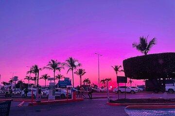 Travel from Guadalajara to Puerto vallarta shopping mall galleries