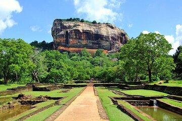 Sigiriya Rock Tour & Minneriya Halfday Safari Tour Sri Lanka