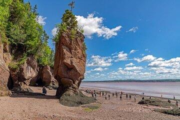 Saint John Bay of Fundy and Hopewell Rocks Private Tour