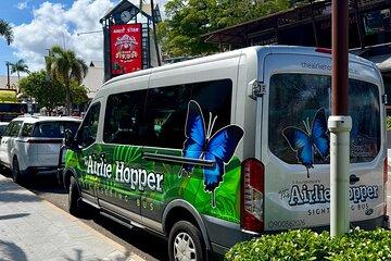 The Airlie Hopper Sightseeing Bus (Cruise Ship Friendly)