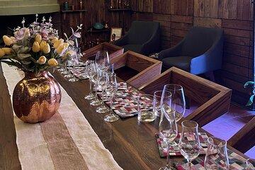 The 5 most awarded wines of San Miguel de Allende Tasting Pairing