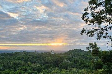 Guided Tour of Tikal from Flores with Lunch