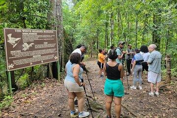 Trinidad Nature and Asa Wright Center Full-Day Tour from Port of Spain