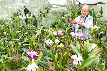 Finca la Romelia Orchids and Birding