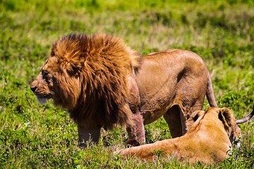 Private Safari and Wildlife Tour in Hluhluwe