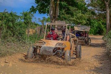 3-Hour Buggy Tour