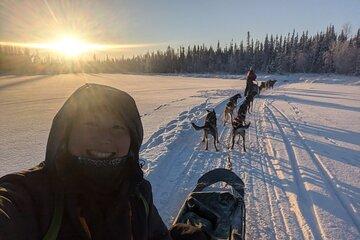 Alaskan Husky Dog Sledding at Yellowknife Enodah Kennel