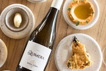 Private Lujan de Cuyo Top Wine and Food Experience