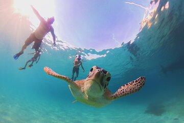 Boat tour with breakfast and snorkeling in St Martin