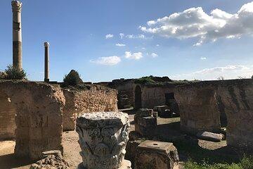 From Hammamet or Sousse: Carthage, Sidi Bou Said and camel tour