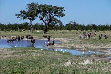 Chobe Botswana Day Trip