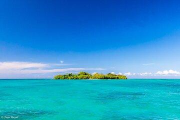 Booby Cay Island Boat Tour with Open Bar & Fresh Seafood Lunch
