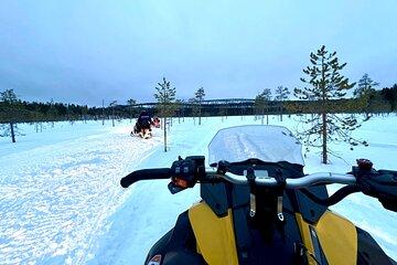 Private Snowmobile Safari from Wilderness Lodge - 3h