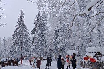 1 Day Private Tour to China Snow Village