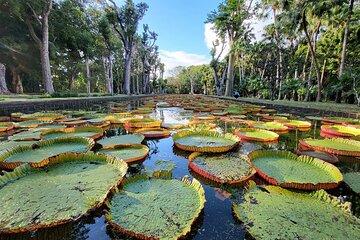 Discover North Mauritius: Private & Tailored Full-Day Adventure