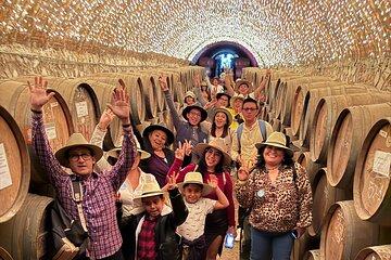 Private Cultural Tour to Tequila with TASTING