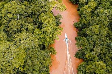 4 Day All-Inclusive Guided Jungle Tour from Iquitos