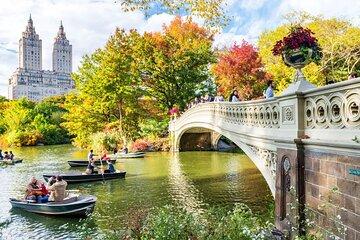 New York Central Park Private Pedicab Tours