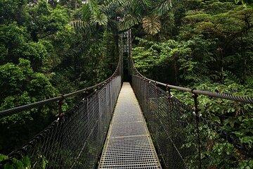 Arenal Tour Including Hanging Bridges Volcano Hike and Waterfall