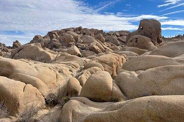 Sightseeing Adventure Tour of Joshua Tree National Park