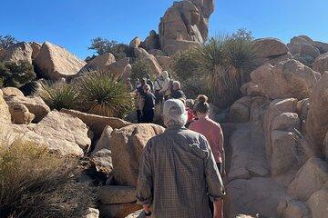 Ultimate Joshua Tree National Park Private Group Adventure Tour