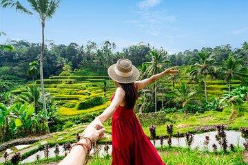 Ubud Tour: Swing, Waterfalls, Rice Terraces & Monkey Forest