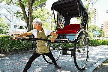 Rickshaw Tour of Kagoshima's Historical and Cultural Sites