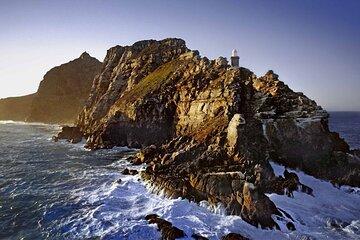 Full Day Cape Peninsula Tour Penguins Cape Point and Scenic Drive