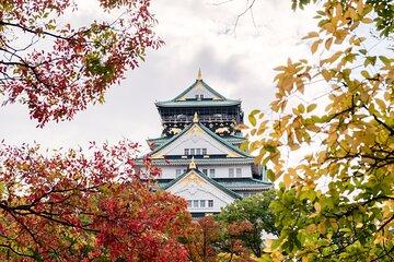 Osaka Unveiled: A Self-Guided Journey Through Japan's Kitchen