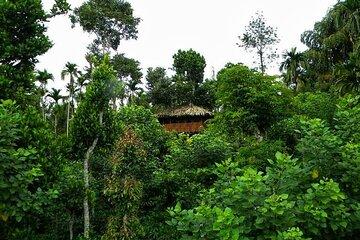 Wildlife Tour A Journey Through 3 Sanctuaries