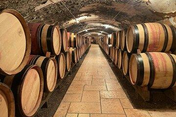 Immersion Domaine E.GUIGAL Visit wine cellars and tasting