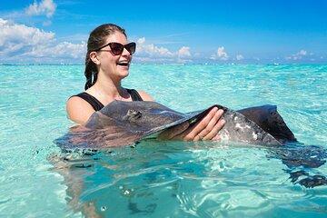 Grand Cayman Catamaran Tour to Stingray City and Rum Point