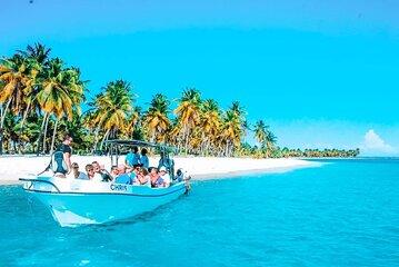 Isla Saona Wildlife and Natural Pools Tour with Lunch