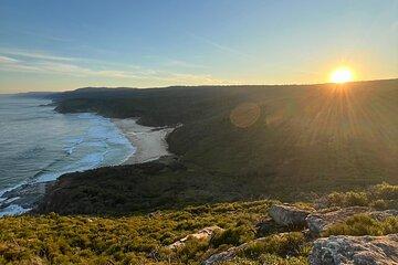 Royal National Park Private Tour - Hike with Pick and Drop Off