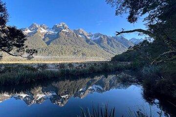 Private Small Group Tour from Queenstown to Milford Sound