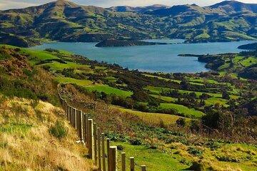 Akaroa Day Group Tour from Christchurch