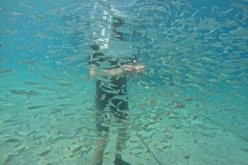 Undersea Helmets