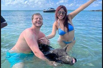 Bahamas Swimming with the Pigs in Crystal Blue Waters