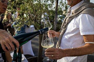 Stellenbosch and Franschhoek Wine Tasting Full Day Guided Tour