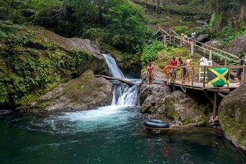 Coffee Farm Hike Through Jamaica’s Blue Mountain from Montego Bay