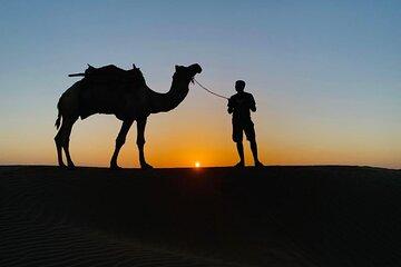 3 Days and 2 Nights Shiva's Desert Safari