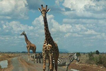 Nairobi National Park Group Joining Daily Tour