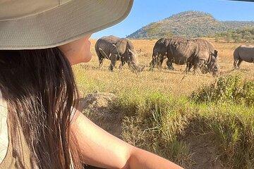 Half Day Tour in Nairobi National Park