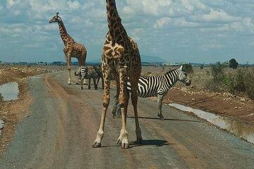 Nairobi National Park Game Carnivore Restaurant Lunch or Dinner
