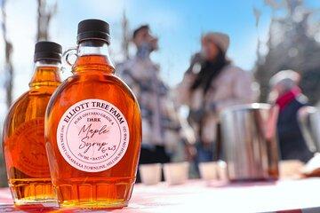 Guided Sugar Bush Tour and Beer Tasting from Toronto